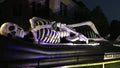 Mega Skelly 35-feet